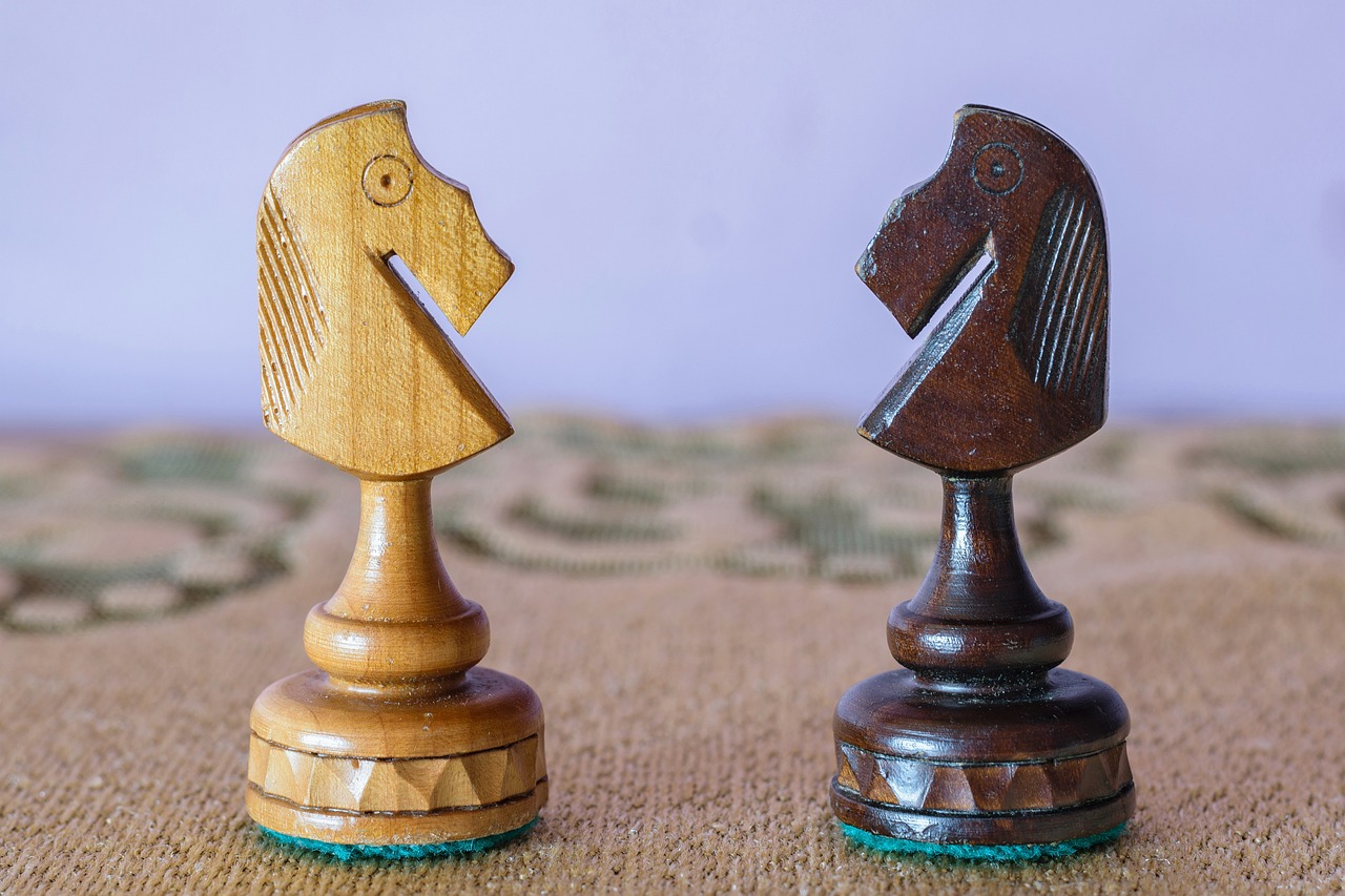 horses, chess, games, horse, horse figure, play, strategy, white, black, jumper, nature, knight, planning, character, chess board, chess, chess, chess, chess, chess, horse figure