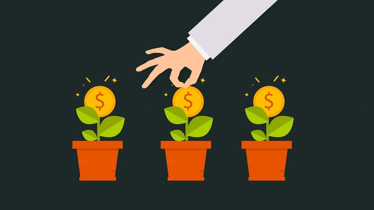money, grow, gain, finance, income, plant, accounting, bank, benefit, business, cash, coin, collect, concept, earnings, economic, economy, exchange, financial, fund, nature, invest, management, market, payment, profit, income, income, income, income, income, accounting, accounting, benefit, benefit, benefit, benefit, economic, fund, invest, invest, invest, profit
